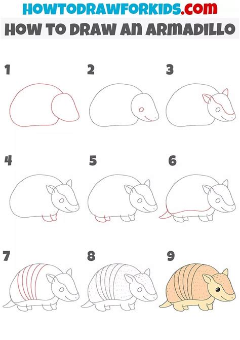 How to Draw an Armadillo - Easy Tutorial for Kids