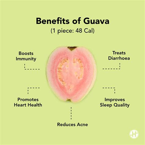 12 Amazing Health Benefits Of Guava Fruit And Leaves