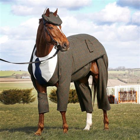 Horse Gets Tailored Three-Piece Suit, Looks Absolutely Dashing