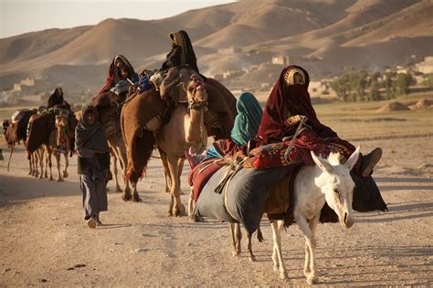 a group of people riding on the backs of camels down a dirt road with ...