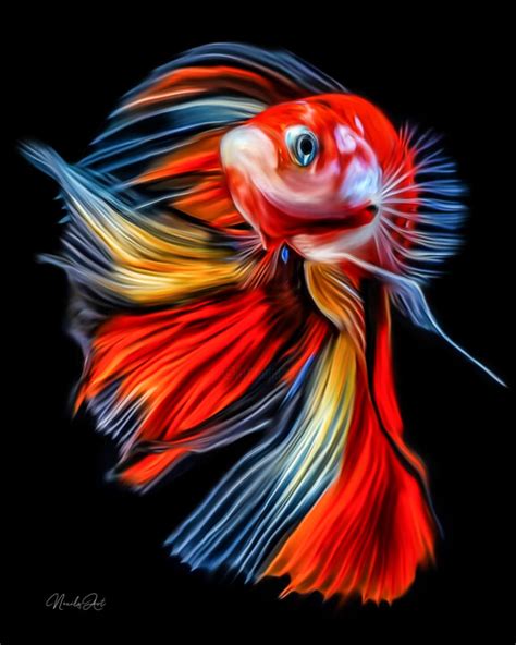 Colourful Fish, Digital Arts by Lord Amihere | Artmajeur