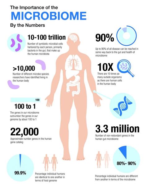 The Invisible Us – The Human Microbiome in Health and Disease | Human ...