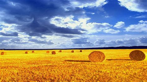 🔥 [50+] Hay Bale Wallpapers | WallpaperSafari