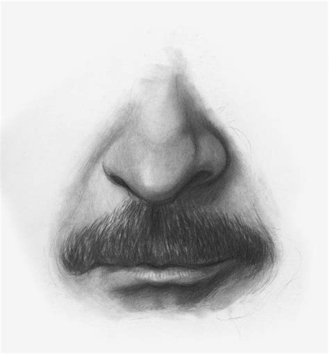 How to Draw a Mustache in Photoshop - Brown Somard