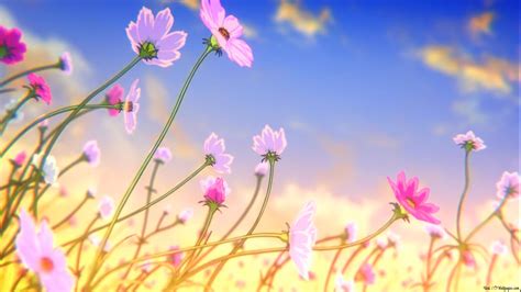 Anime Flower Field Wallpapers - Wallpaper Cave