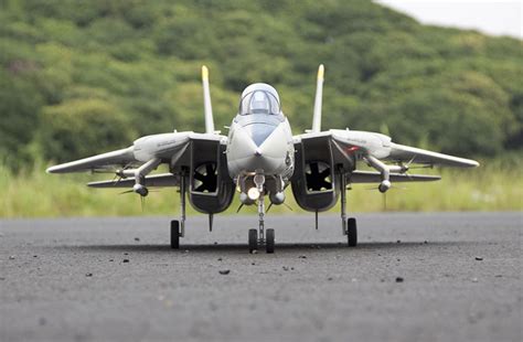 Freewing F-14 Tomcat Twin 80mm EDF Jet PNP Version GST Inc (3 x in ...