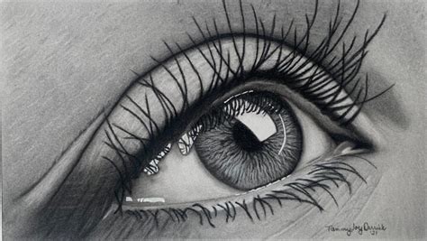 The Human Eye, Drawing by Tammy Carrick | Artmajeur