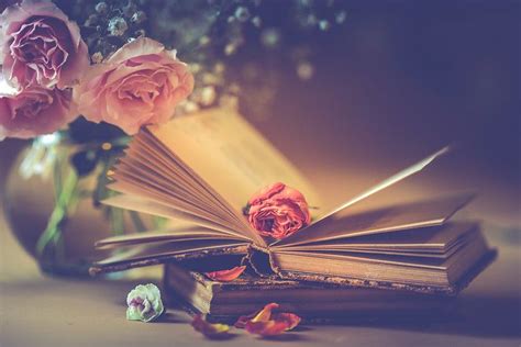 Still life "poetic" | Maria | Flickr Romantic Wallpaper, Beautiful ...