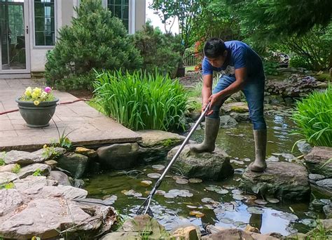 Why Regular Pond Maintenance is Crucial for Your Fish and Plants ...