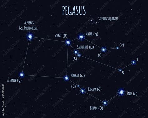 Pegasus constellation, vector illustration with the names of basic ...