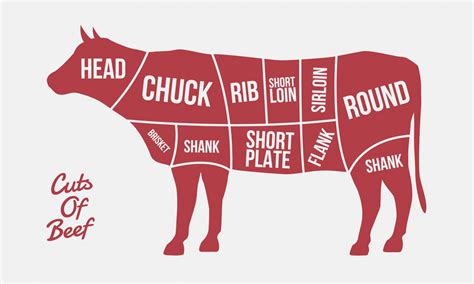 A Comprehensive Guide To Every Cut Of Beef