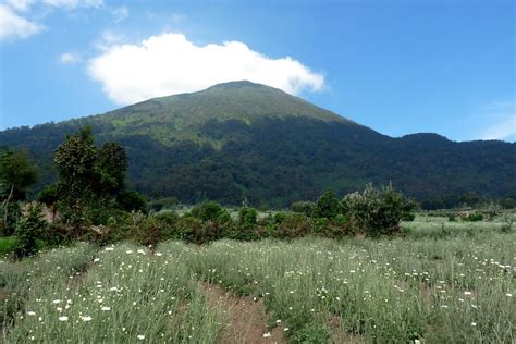 African adventures: Virunga Mountains, Volcanoes National Park, Rwanda