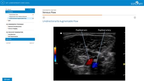 Vascular Ultrasound Training