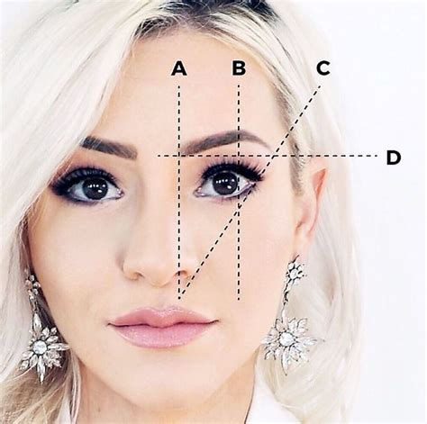 Eyebrow geometry. | Beauty hacks eyelashes, Beauty tips eyebrows ...