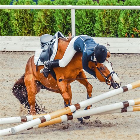 Horse Jumping | How to Master Jumping While Minimizing Fall Risk