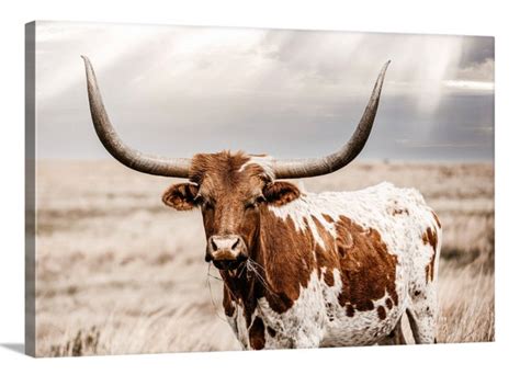 Western decor Longhorn canvas Texas longhorn cow art print or | Etsy in ...