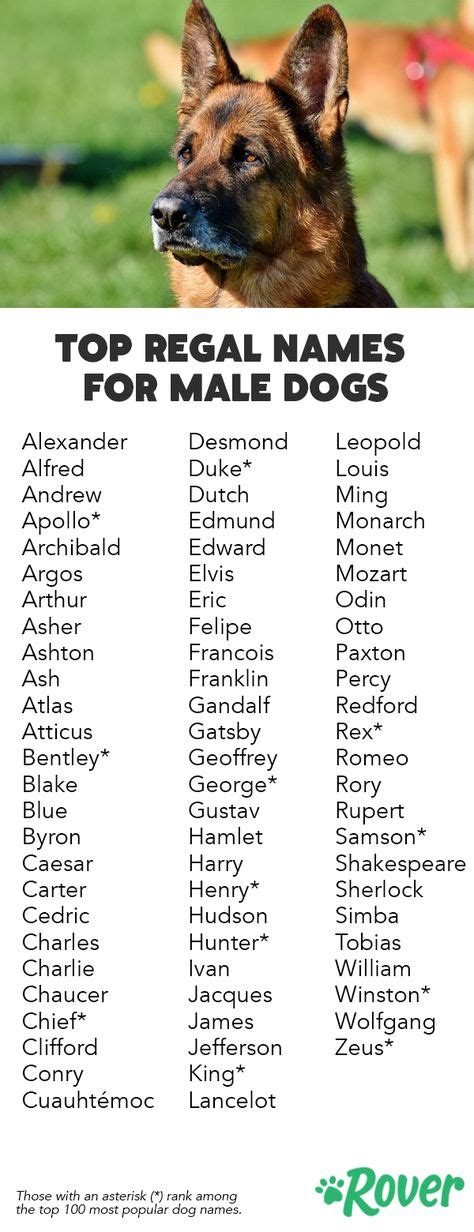 10 Best Dog Names images in 2020 | Dog names, Girl and dog, Best dog names