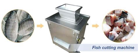 Automatic fish cutting machine for slicing, filleting, stripping