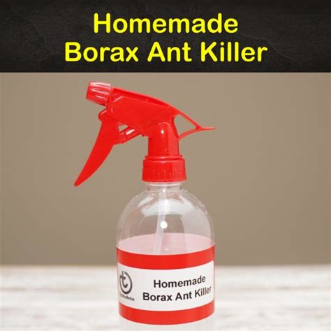 4+ Super Effective Homemade Borax Ant Killer Recipes