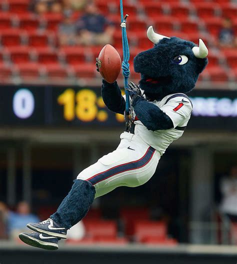 Ranking the NFL's Mascots - Sports Illustrated