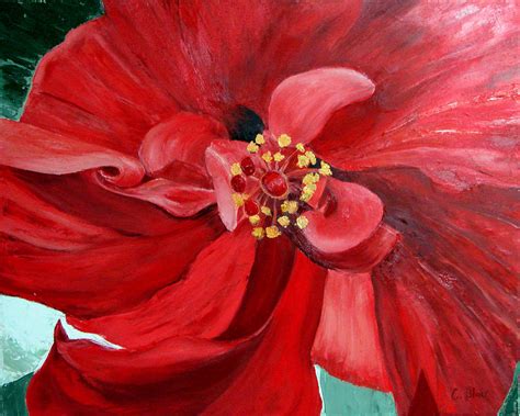 Red Hibiscus Painting by Cynthia Blair - Fine Art America