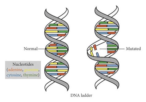 (a) Comparison of normal and mutated genes [17]. (b) Different levels ...