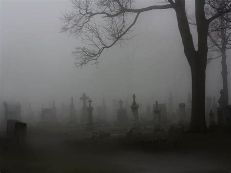 Spooky Fog Photograph by Gothicrow Images - Fine Art America