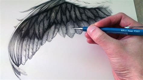 Feather Drawing, Wings Drawing, Angel Drawing, Wings Art, Owls Drawing ...