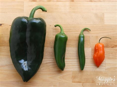 Poblano Pepper + VIDEO | Mamá Maggie's Kitchen