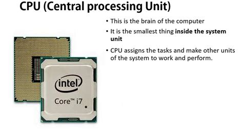 Differences between a CPU and System Unit - YouTube