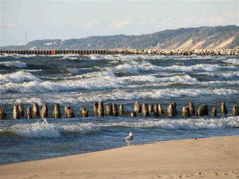 Shoreline Erosion: A Complete Guide - Superior Groundcover