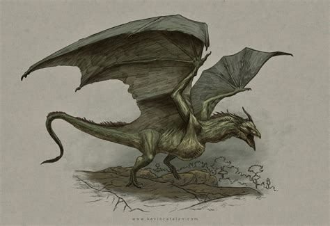 Swamp wyvern of Sothoryos by Kevin Catalan Art | Wyvern, Dragon artwork ...