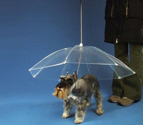 Keep Your Pup Dry with Stylish Dog Umbrellas