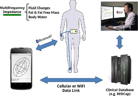 Figure 1 from Smart Multi-Frequency Bioelectrical Impedance ...