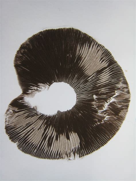 Lynn Corsi Bland: Mushroom Spore Prints