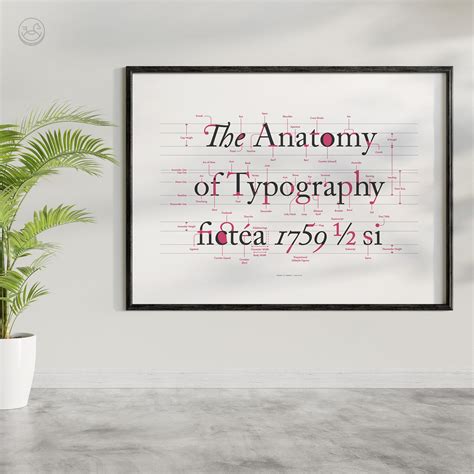 The Anatomy of Typography Poster Type Poster Lettering - Etsy