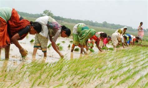 Strength of Bihar Agriculture