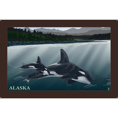 Alaska Orca Pod Alaska Metal Art Print by Mike Rangner (24" x 36 ...