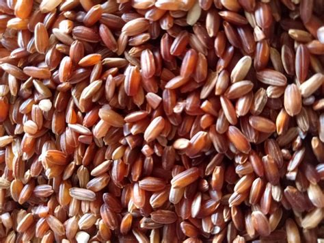 RED RICE ASSAM RICE, Bag, Rs 70 /kg Apt International Business | ID ...