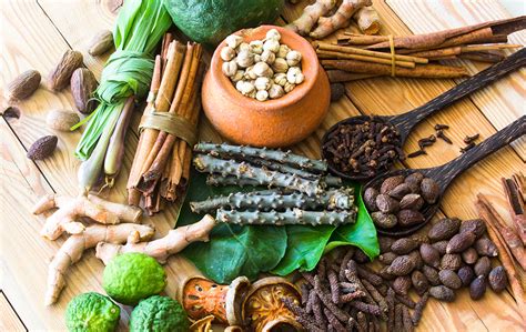 The Top 5 Ayurvedic Herbs for Health and Healing