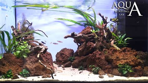 Aquascaping Lab - Tutorial Natural Aquarium Volcanic rocks "Red Passion ...