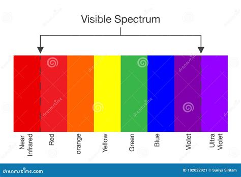 Chart of Visible Spectrum Color. Stock Vector - Illustration of light ...