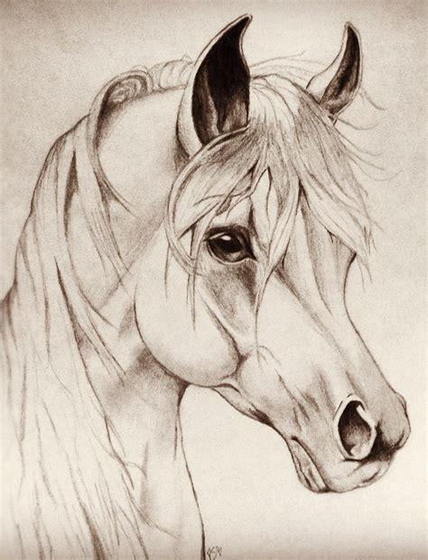 Horse Head Drawing Easy at GetDrawings | Free download