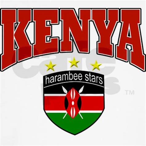 SportsKenya: Kshs. 110million for Harambee Stars - Too Little Too Late?