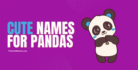 499+ Best Panda Names + How To Choose A Perfect Panda Name?