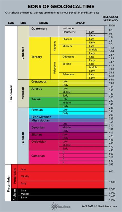 Cenozoic Era: Facts About Climate, Animals & Plants | Geology, Geologic ...