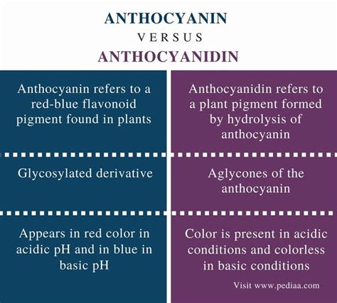 Difference Between Anthocyanin and Anthocyanidin | Definition, Fact ...