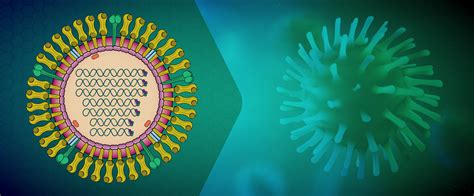 Orthomyxoviridae (Influenza) | LSBio