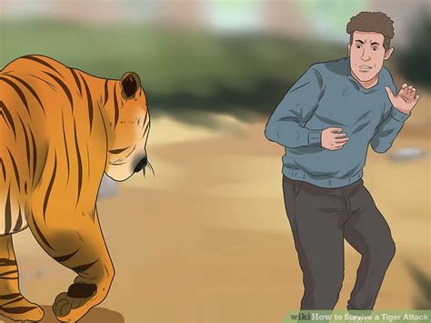 3 Ways to Survive a Tiger Attack - wikiHow