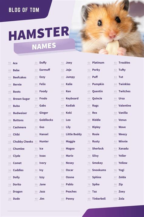 Hamster Names (Boy, Girl, Cute & Funny Ideas) | Hamster names, Hamster ...